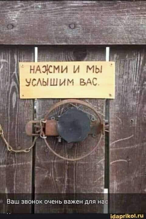 Всяческие картинки 27.12.2021