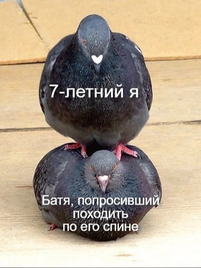 Ну, с богом!