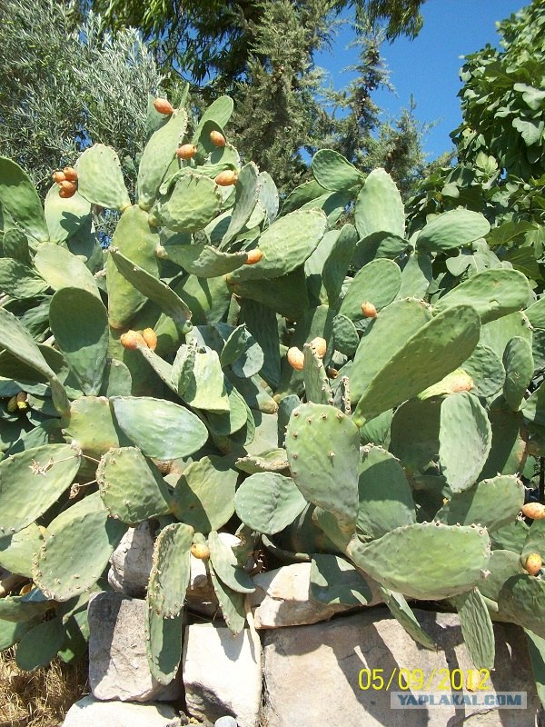 Путешествие Геленджик-Турция