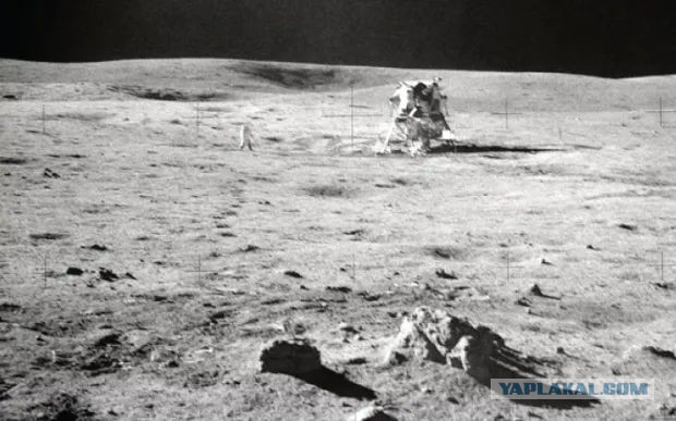 История Луноспоров