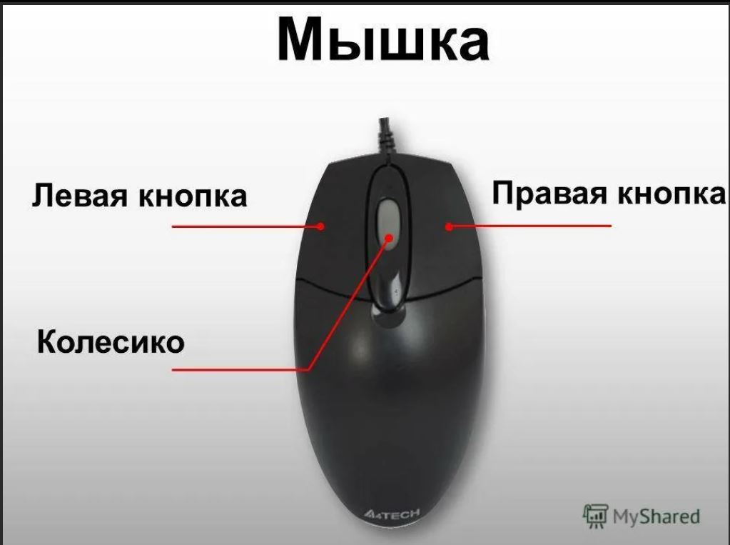 Правая кнопка мыши клики. Правая и левая кнопка мыши. Правая кнопка мыши. Кнопки компьютерной мыши. Компьютерная мышь левая кнопка.