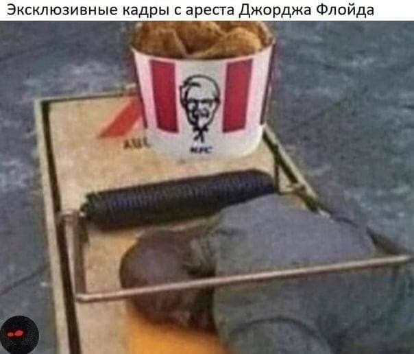 Чёрно-пошлый вторник