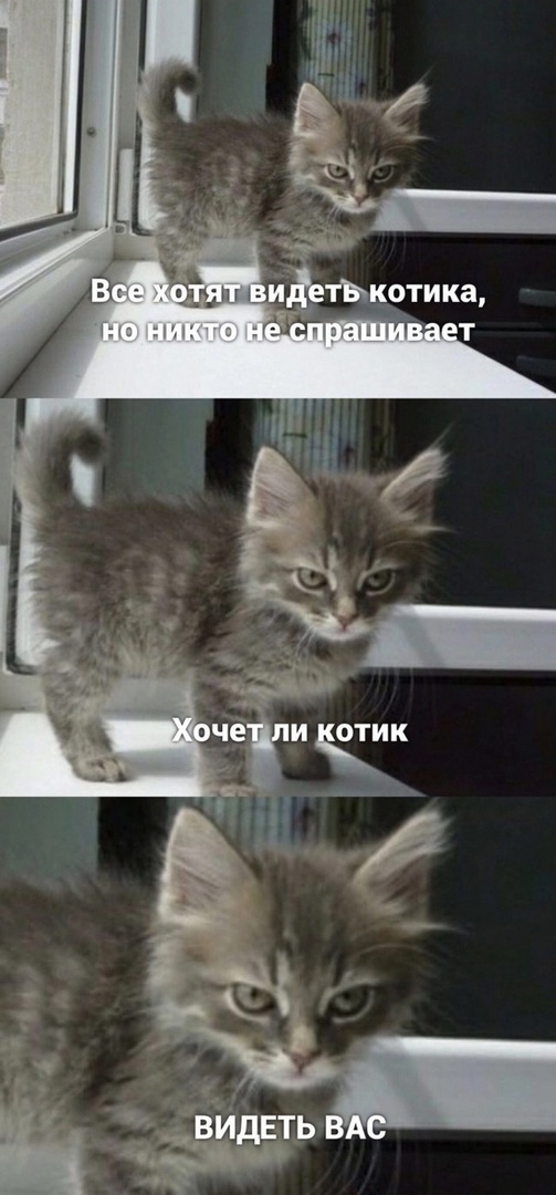Так себе картинки 15.02.23