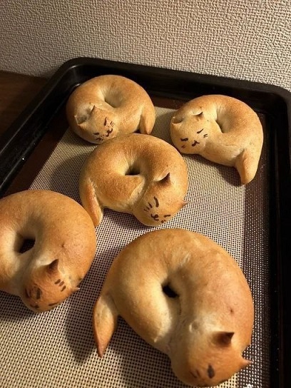 Обычные дома в Рязани