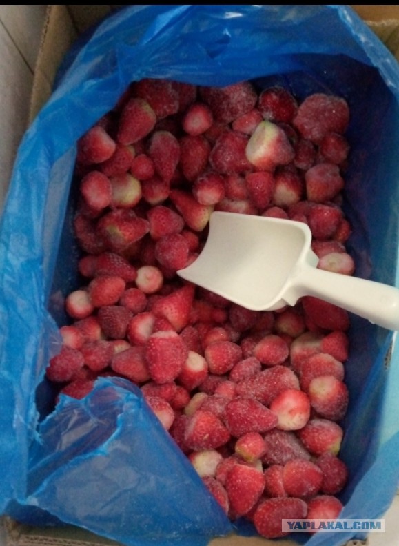Магазины «Светофор» площадка для сбыта поддельной продукции, заявили в Россельхознадзоре