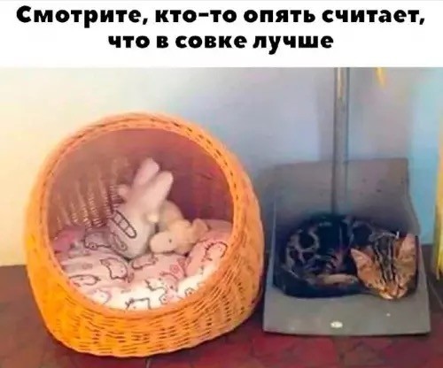 Фотографии из прошлого нашей страны – 103