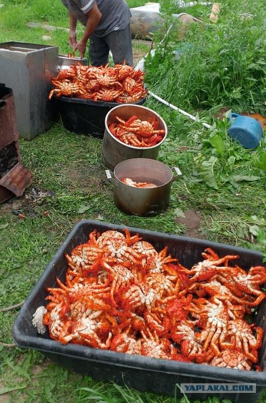 Фото моей природы