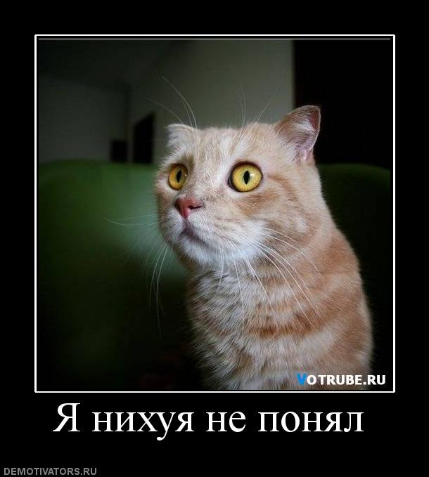 13 Июля. Кузьминки. Будет жарко.