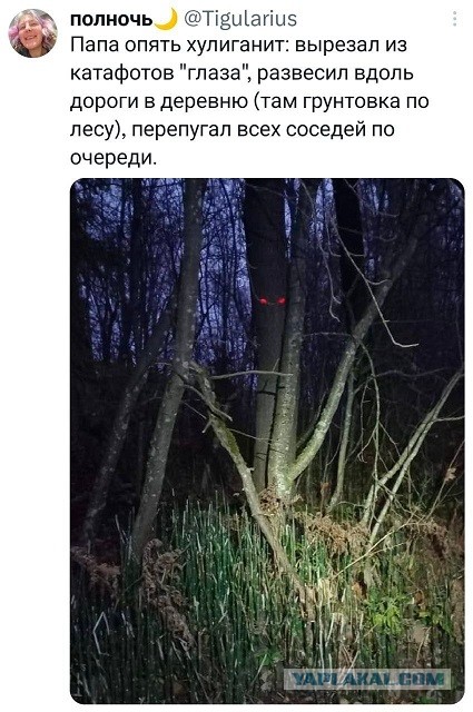 Не нанять ли нам няню?