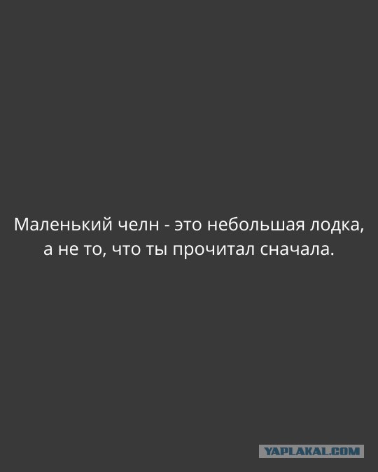 Весёлый полтишок 11.12.25
