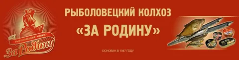 В Эстонии ажиотаж вокруг Оливье: фэйк, который оказался слишком правдоподобным