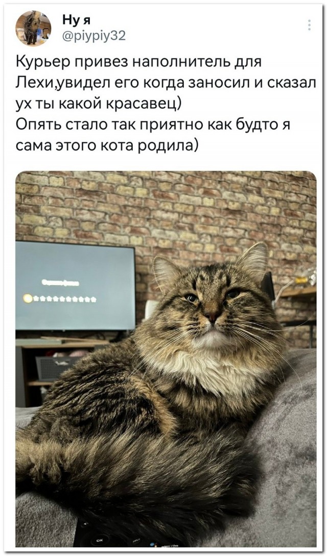 Забавные комментарии из социальных сетей (08.05.23)