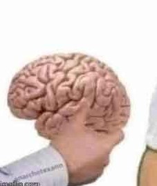 Просчитались... Но где?