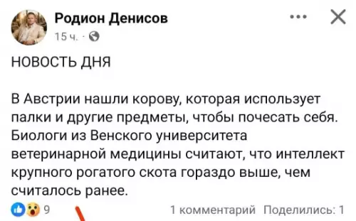 Картиночки, баянчики 02 марта
