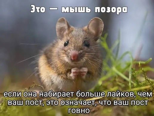 Вариант примирения