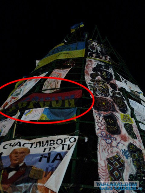 ЙОлка.