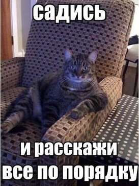 Этот кот - живое воплощение печали