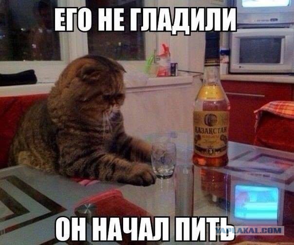 Поднимаем настроение