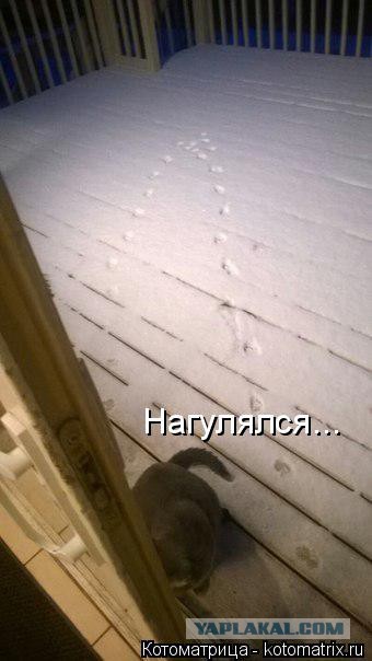 Вечер субботы в декабре, вышел за хлебушком...