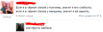 Смешные коментарии из соц. сетей