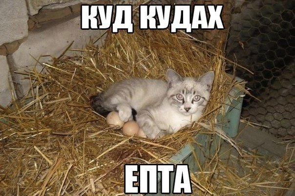 И снова йумор из разных сторон интернета