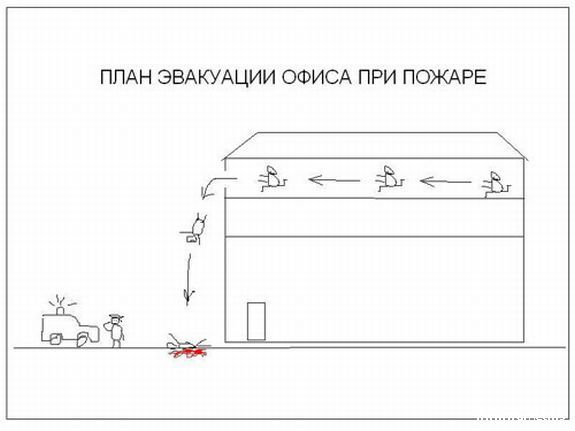 Забавные картинки из интернетов