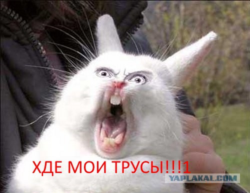 Девочка с трусиками, помните её?