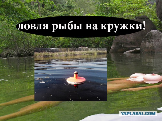 Пляжные модники