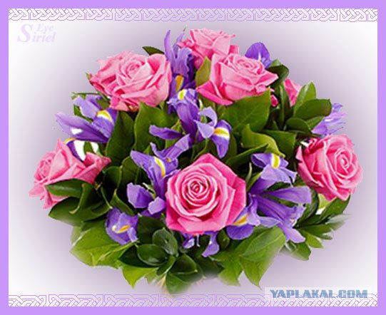 Начало новой жизни:Кесарево сечение своими глазами