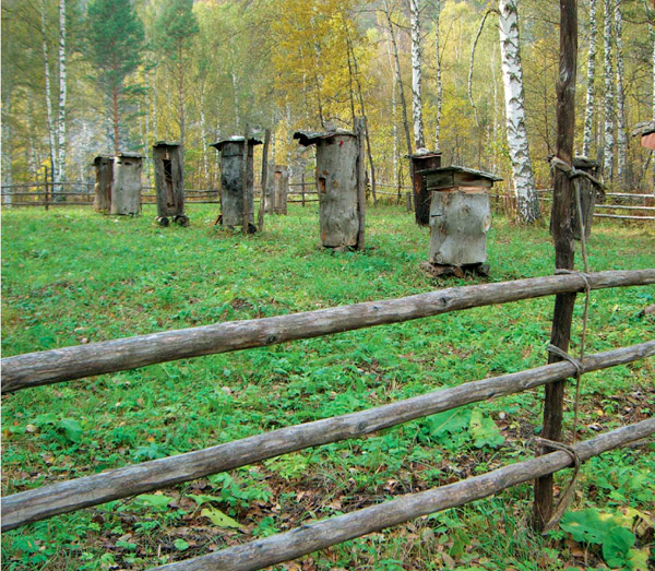 Это Россия, детка