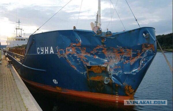 Очередная подборка картинок из сети