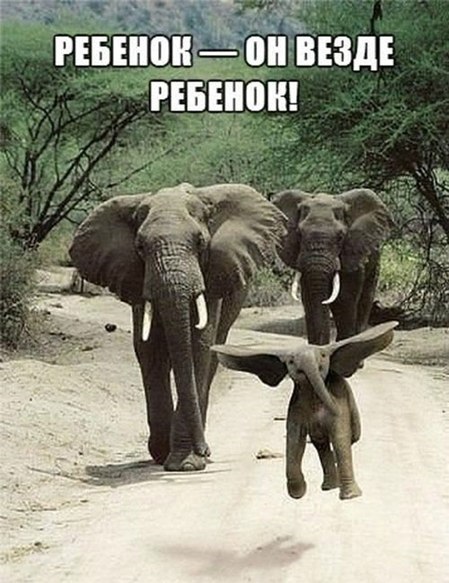 Четверговая солянка