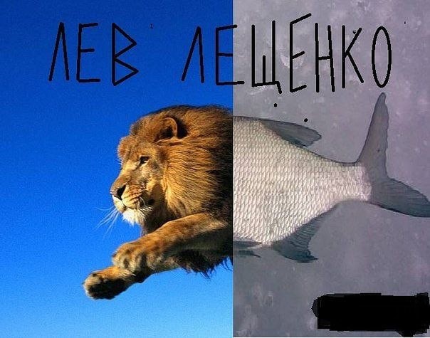 Картинки из сети, бессмысленные и беспощадные