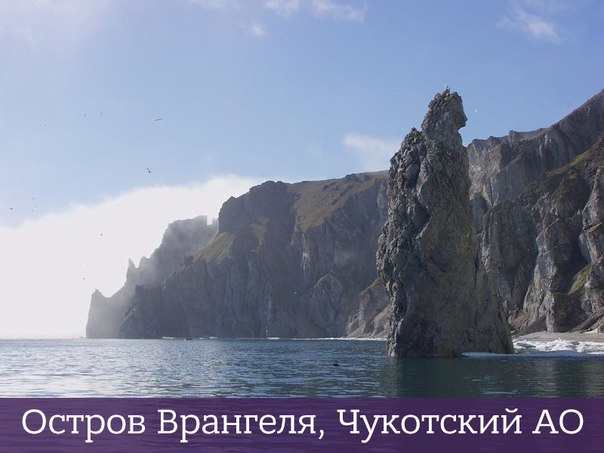 Интересные и веселые картинки
