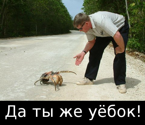 Ударная доза тупежа на начало недели