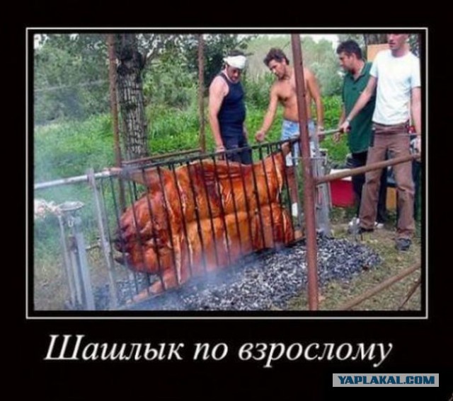 Решетка для мяса. Жарить это мое