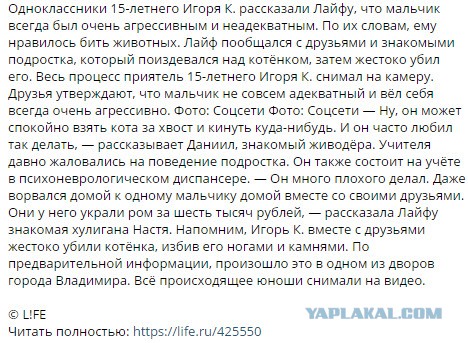 Во Владимире подростки сняли на видео жестокое убийство котёнка