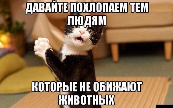 Мохнатые беспредельщики