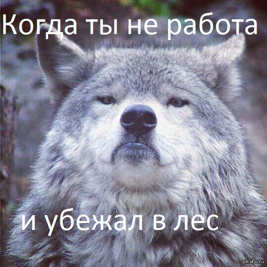 Кое-что новое Jpgшное