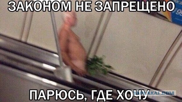 Парильщик-дебил