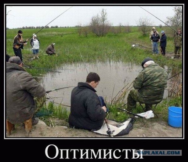Картинки в черной рамке