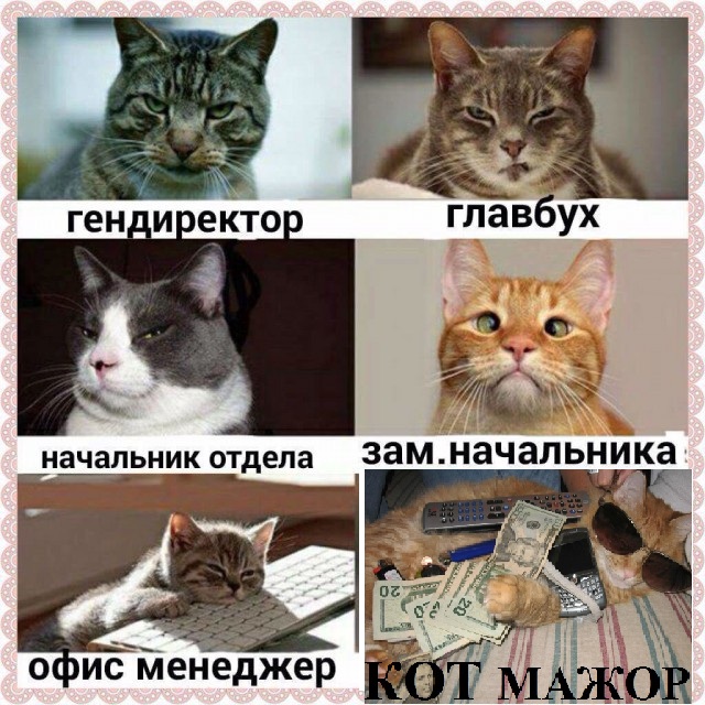 Журнал деградант