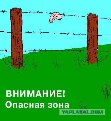 Негритёнок и забор