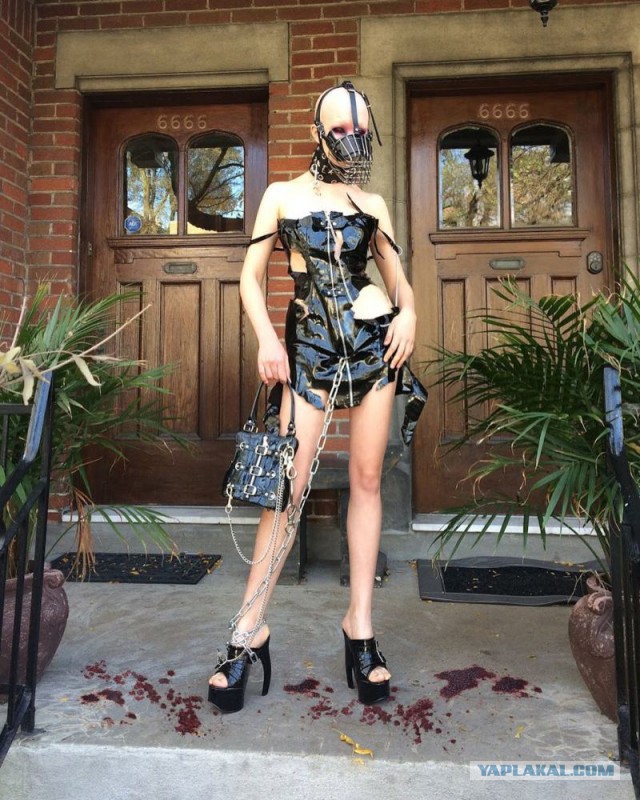 В диком мире Instagram водятся монстры