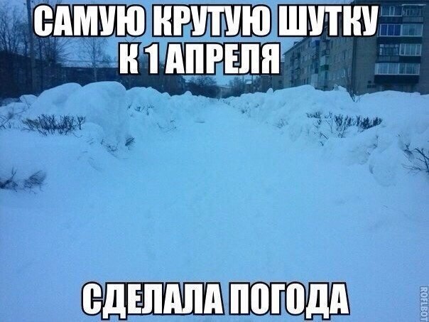 Прикольные картинки обо всём