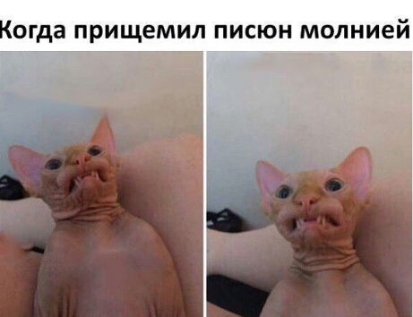 Юмор не для всех