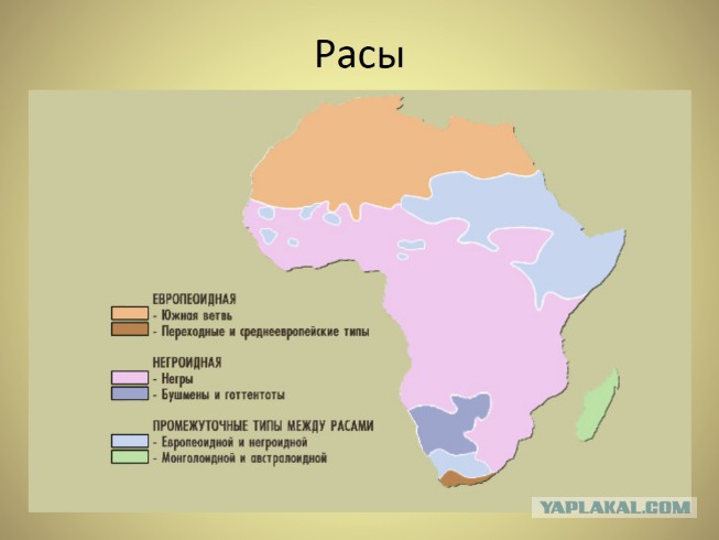 Крупные народы африки
