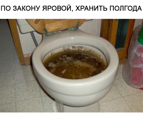 Интернет-сервисы обязали полгода хранить трафик россиян по «пакету Яровой»