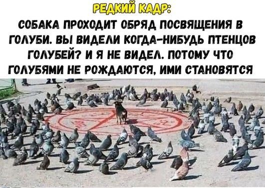 По центру Петербурга прошёл крестный ход с участием местных властей. Автомобилисты пожаловались на крупные пробки