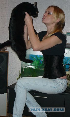 История одного кота